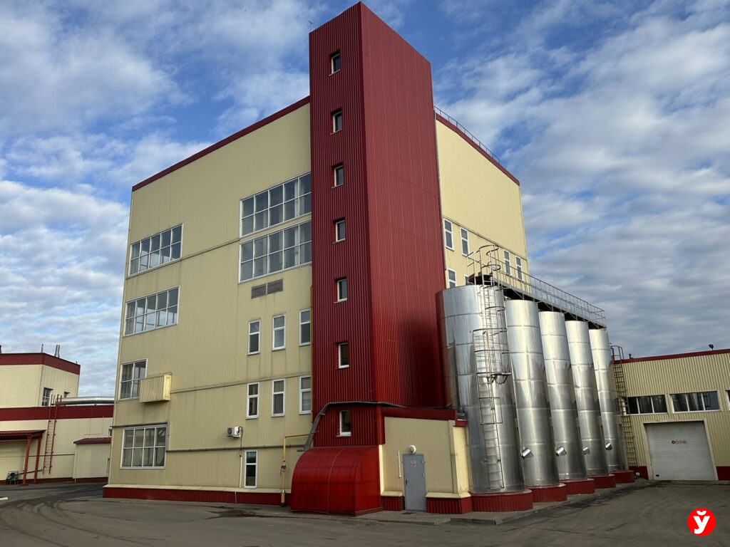 Сыры