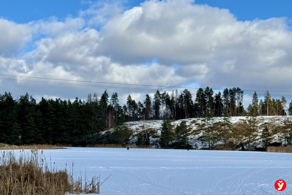 Копыль