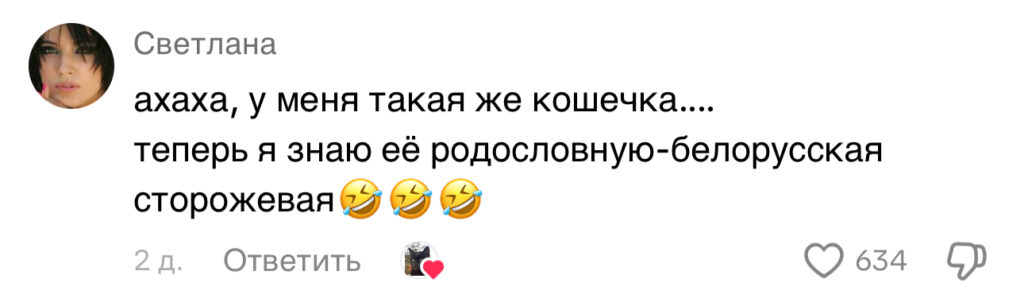 комментарий