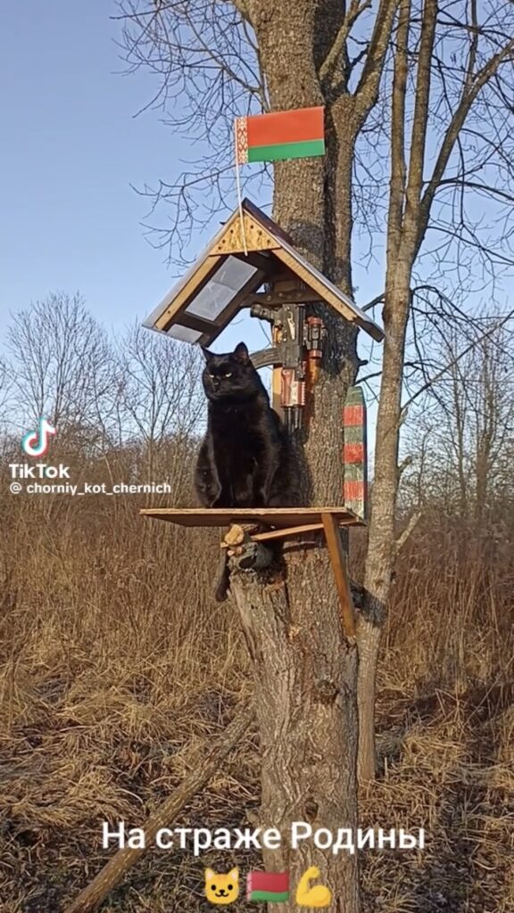 пограничник