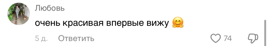 комментарий