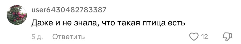 комментарий