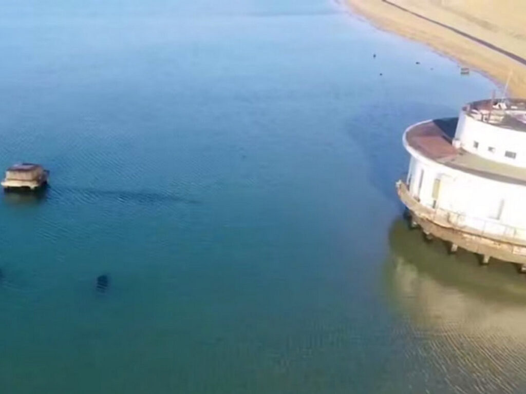 Стали известны результаты проверки рыбной продукции из Черного моря