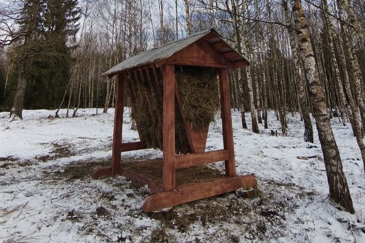 Подкормка животных Воложин