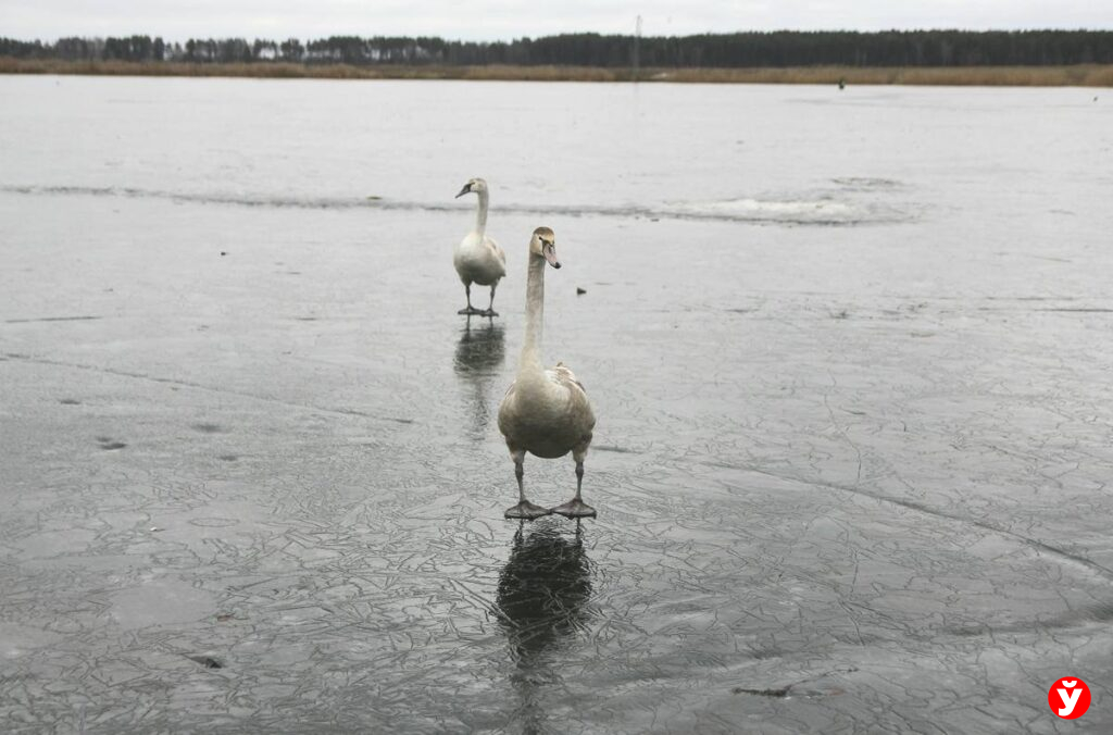 Солигорск