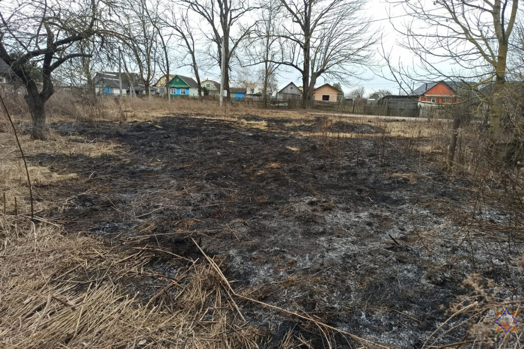 Минчанка сожгла поле, когда разводила костер на даче в Дзержинском районе