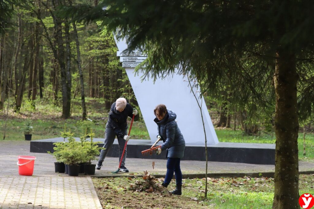 Два республиканских субботника пройдут в Беларуси. Узнали, когда