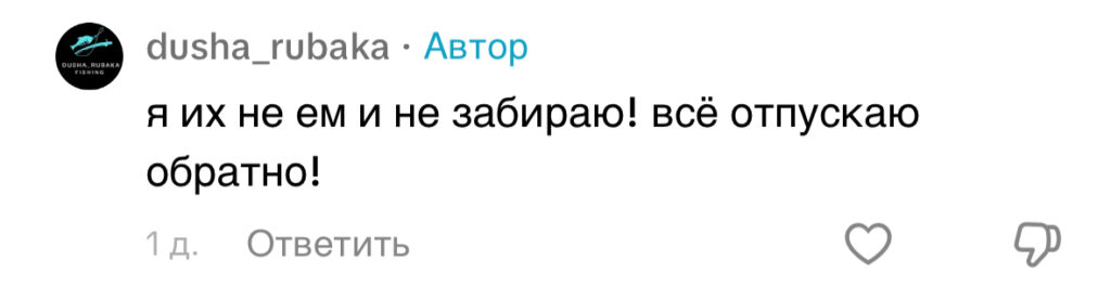 комментарий