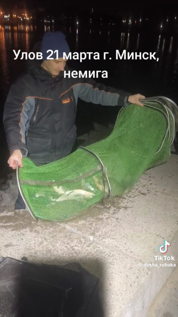 улов