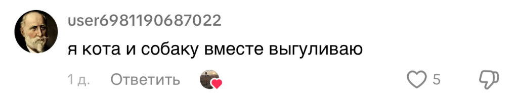 комментарий