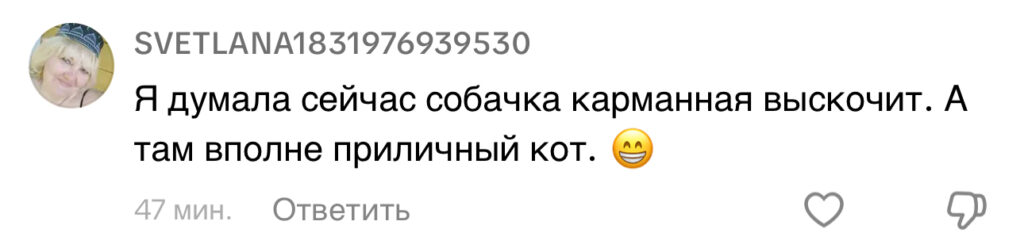 комментарий