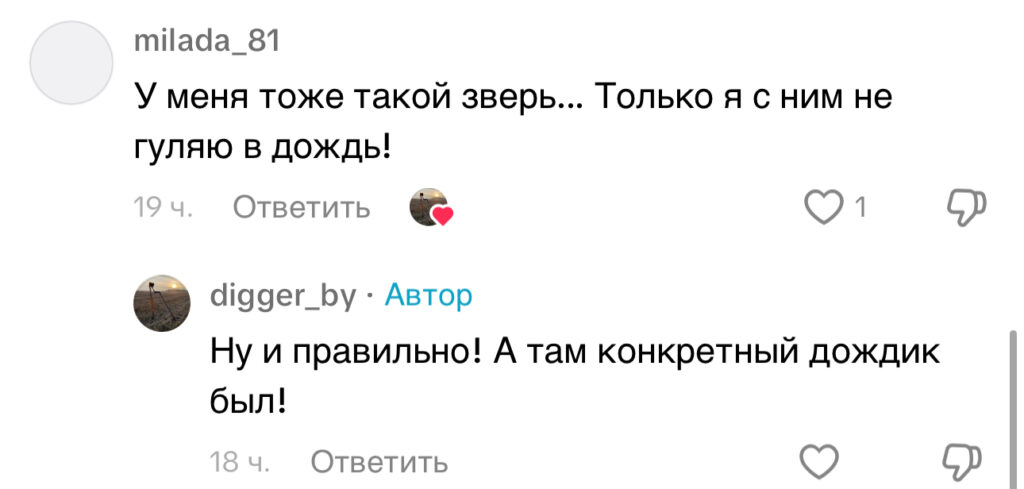 комментарий