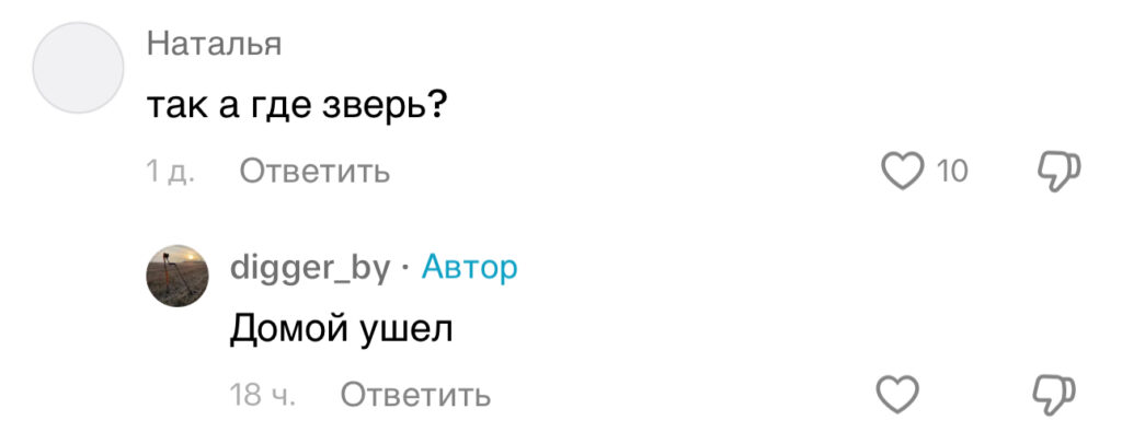 комментарий