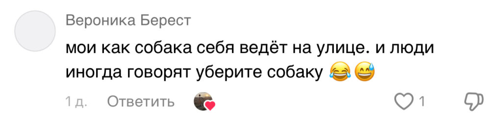 комментарий