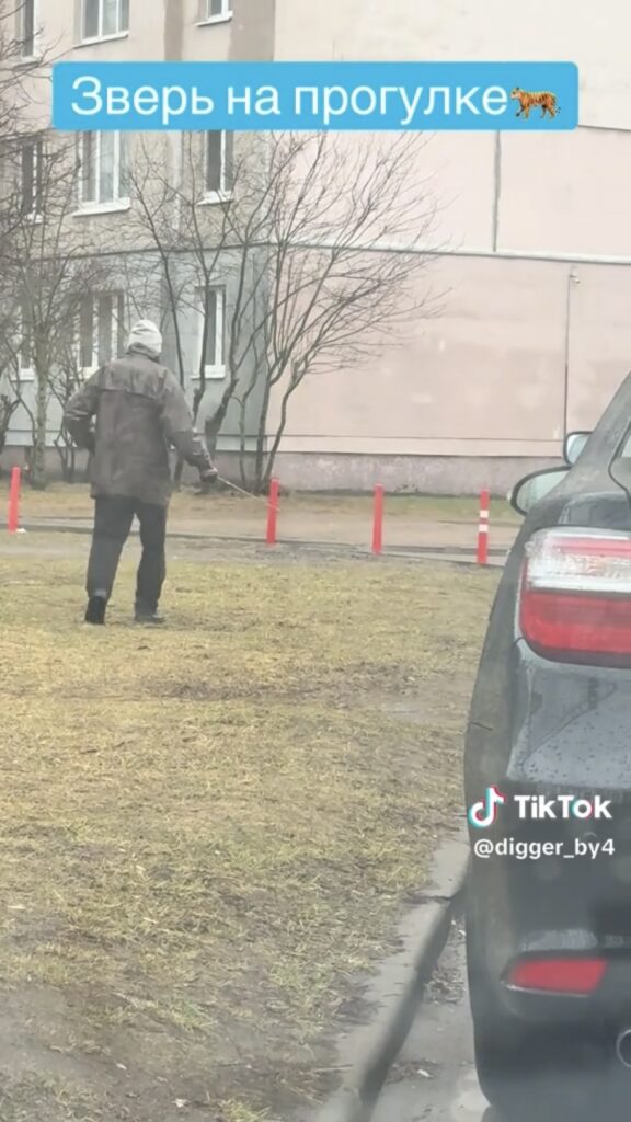 прогулка
