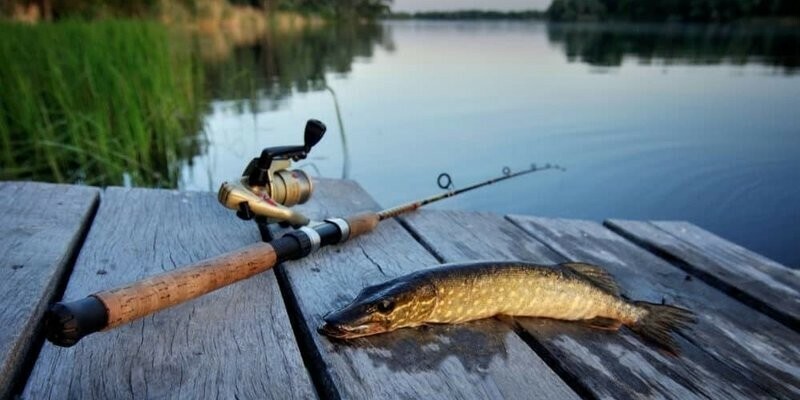 В Беларуси вводятся ограничения на рыбалку: сроки, штрафы и правила