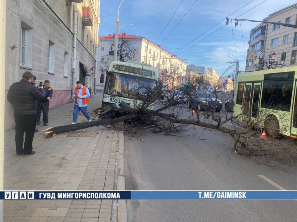 В Минске троллейбус врезался в дерево