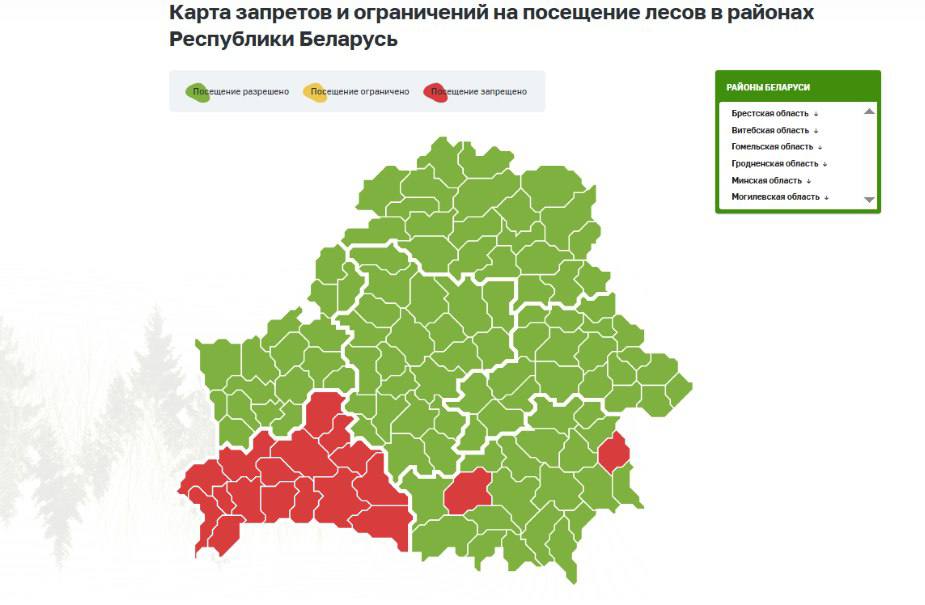 Леса запрещено посещать в 18 районах Беларуси