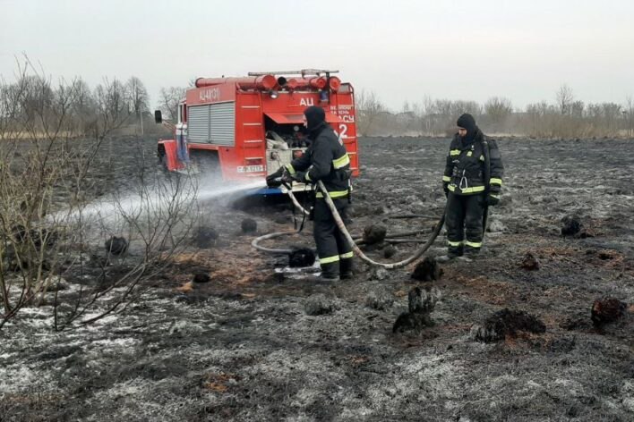 Более 30 спасателей борются с торфяным пожаром в Смолевичском районе