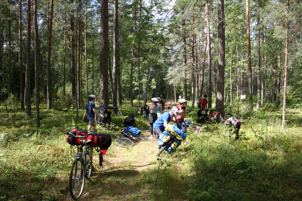 В Березинском заповеднике появится веломаршрут к 80-летию Великой Победы