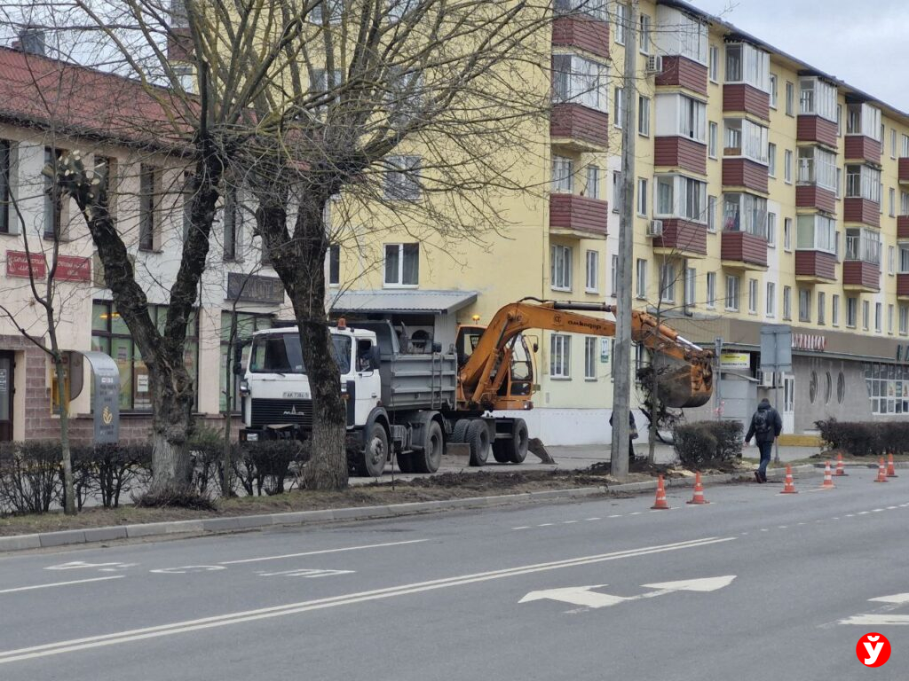 В Солигорске удаляют старые деревья вдоль обочины. В ЖКХ рассказали, с чем это связано