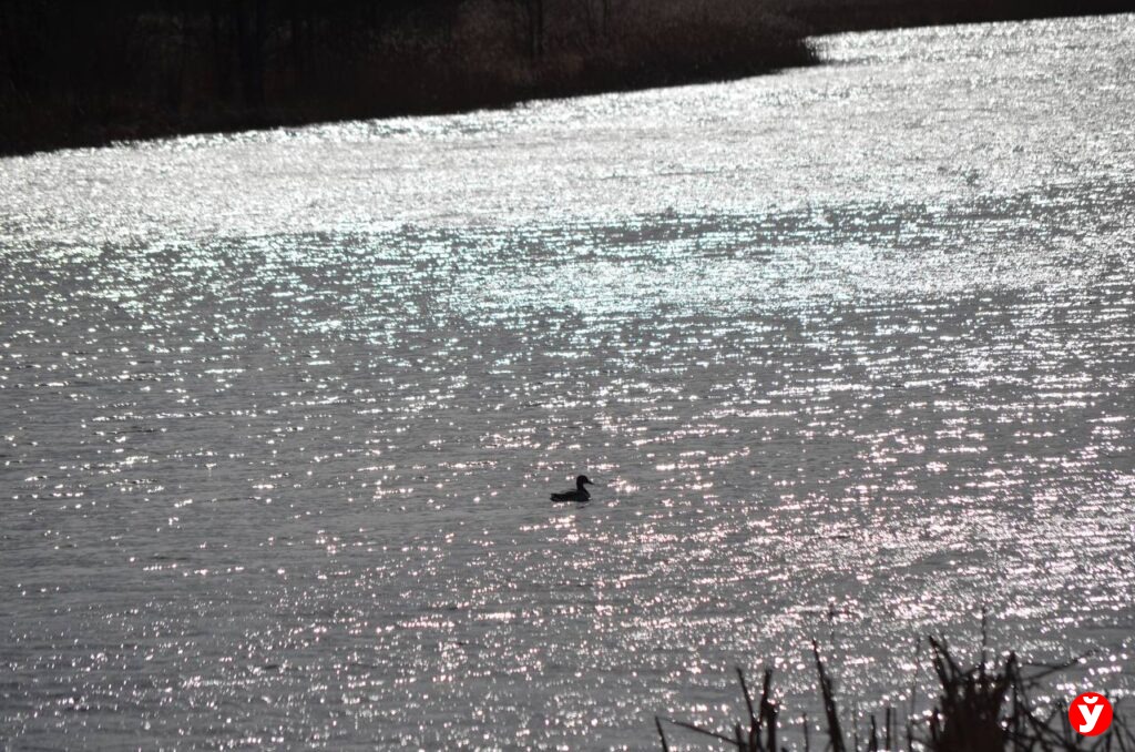 вода