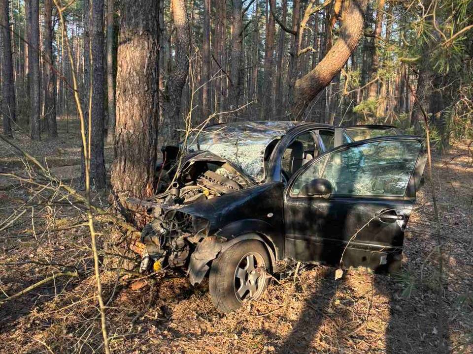 В Стародорожском районе водитель врезался в дерево. Дорожная обстановка на Минщине за выходные