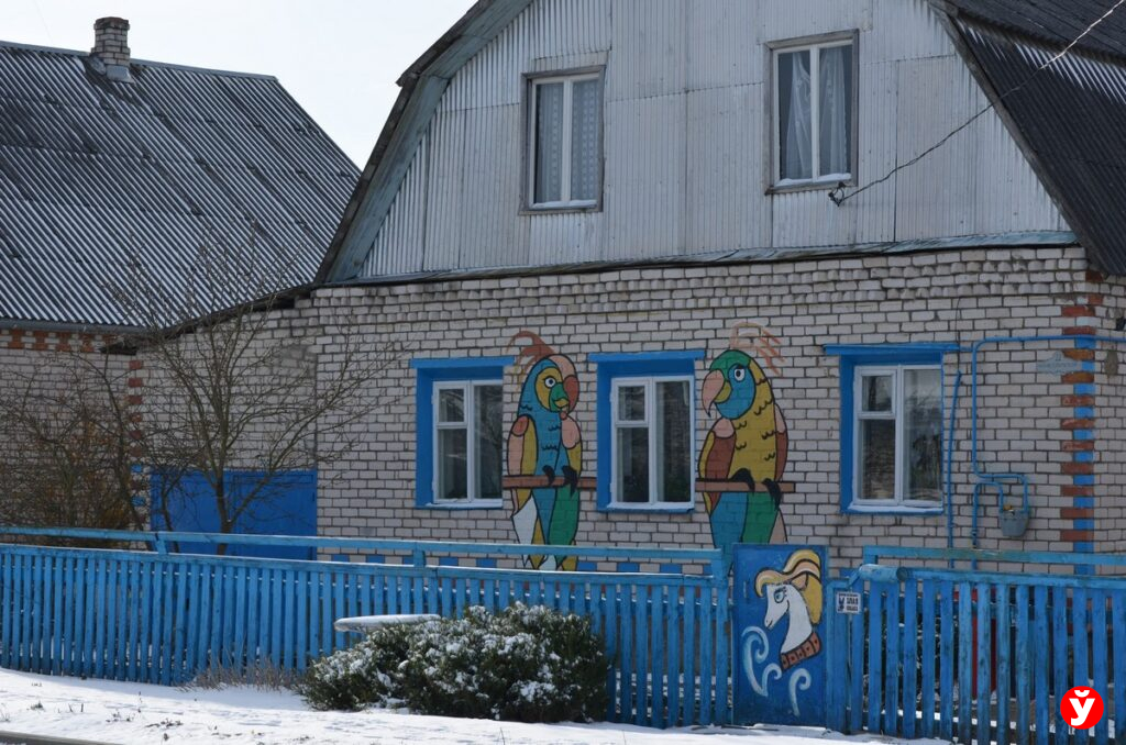 попугаи