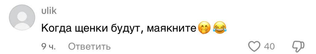 комментарий
