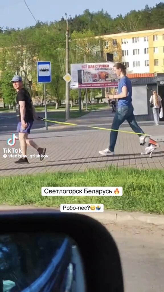 Светлогорск