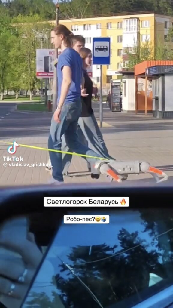 робопес