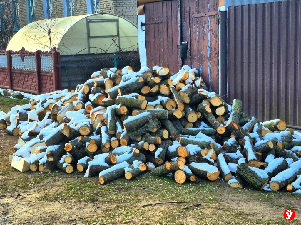 дрова