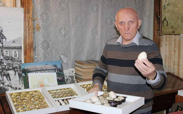 коллекция