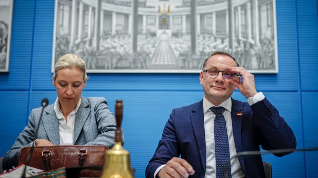 немцы