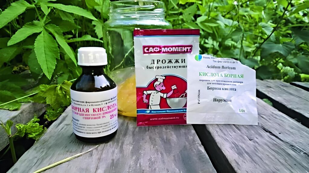 подкормка