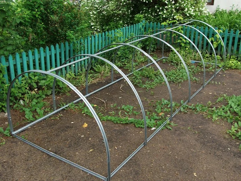 Овощи