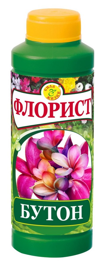 Цветы