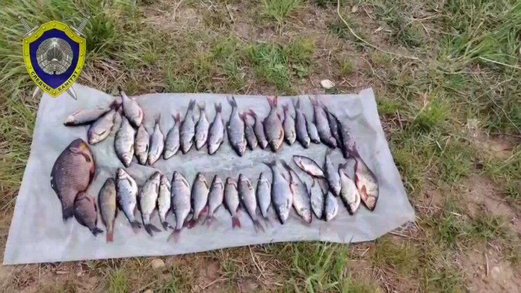 Житель Пружанского района незаконно выловил 40 рыб