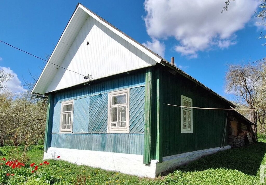 Сбежать в деревню: продается дом с участком возле Налибокской пущи