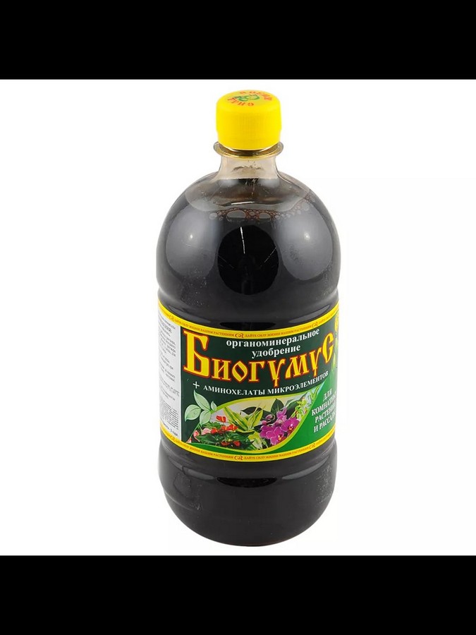 Цветы