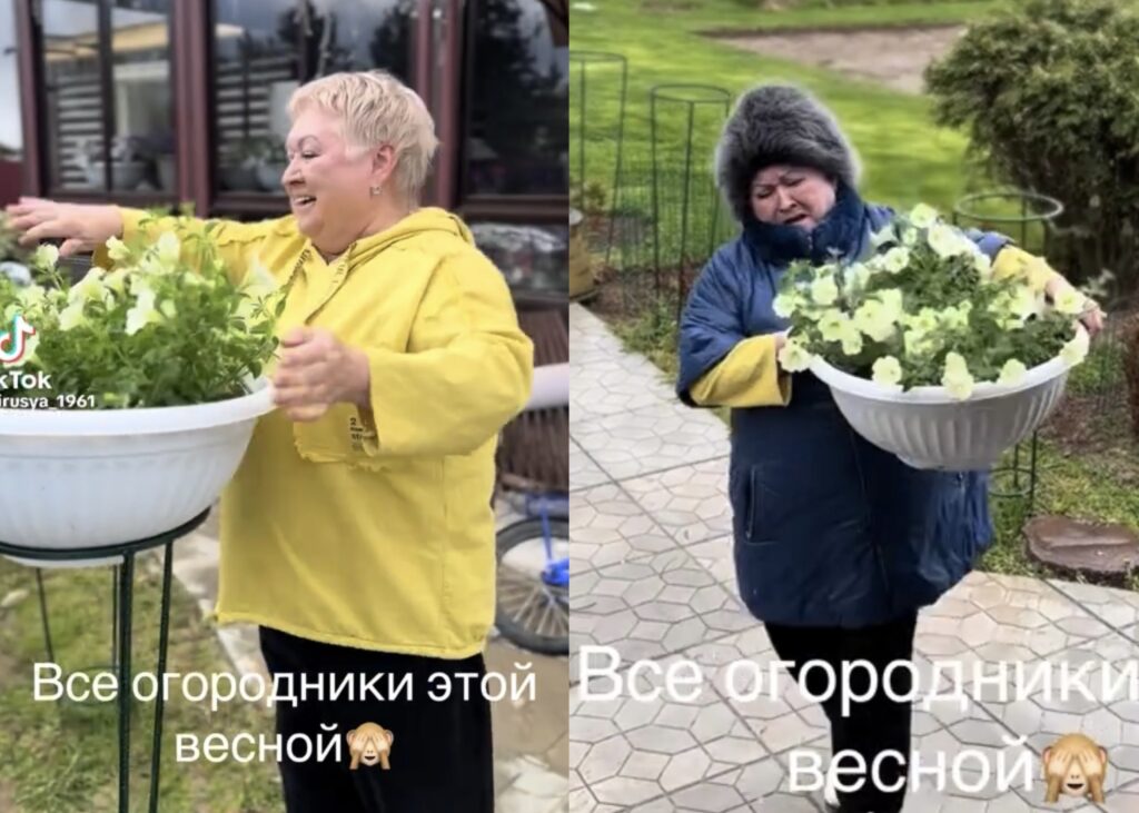 Бег с рассадой. Новый вид фитнеса появился у белорусских дачников