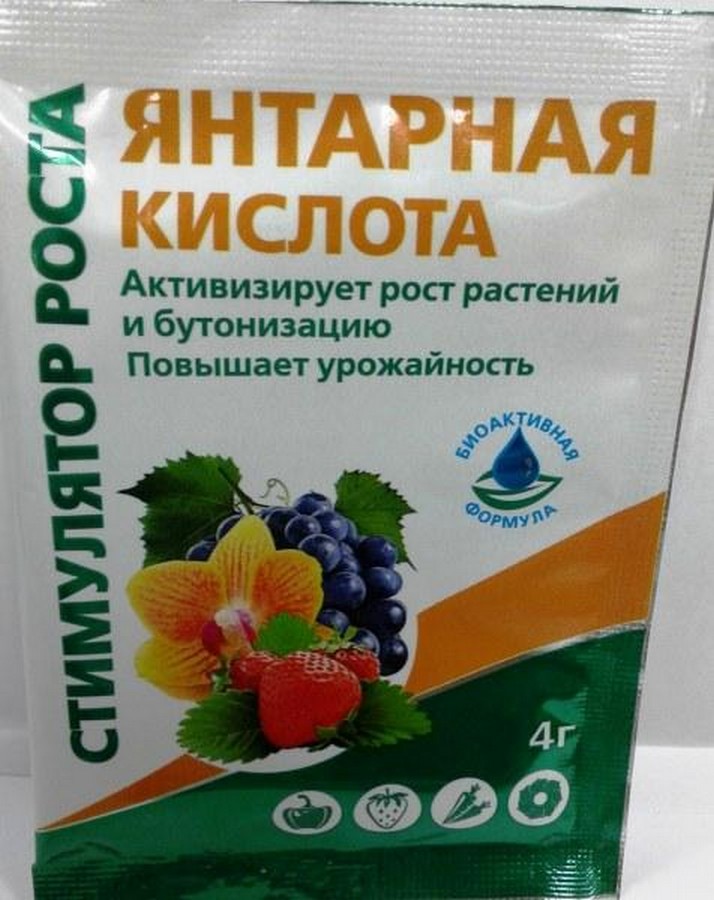 Цветы