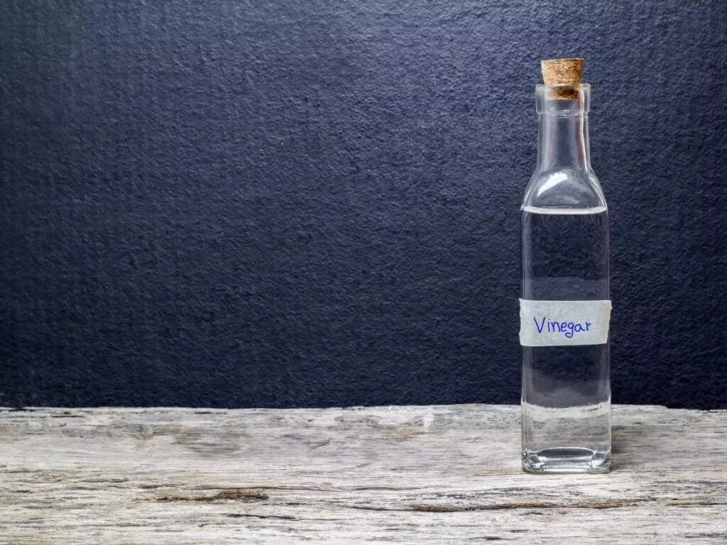 муравьи