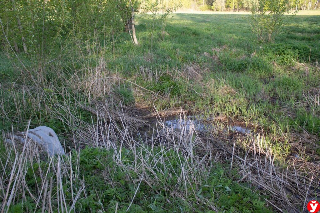 Органические удобрения стали причиной беспокойства в деревне Ганевичи