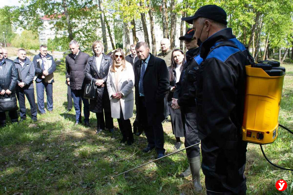 Логойск, борщевик Сосновского
