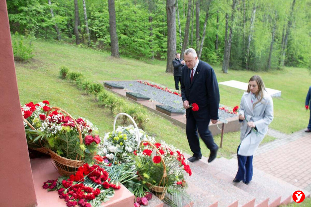 Логойск, борщевик Сосновского