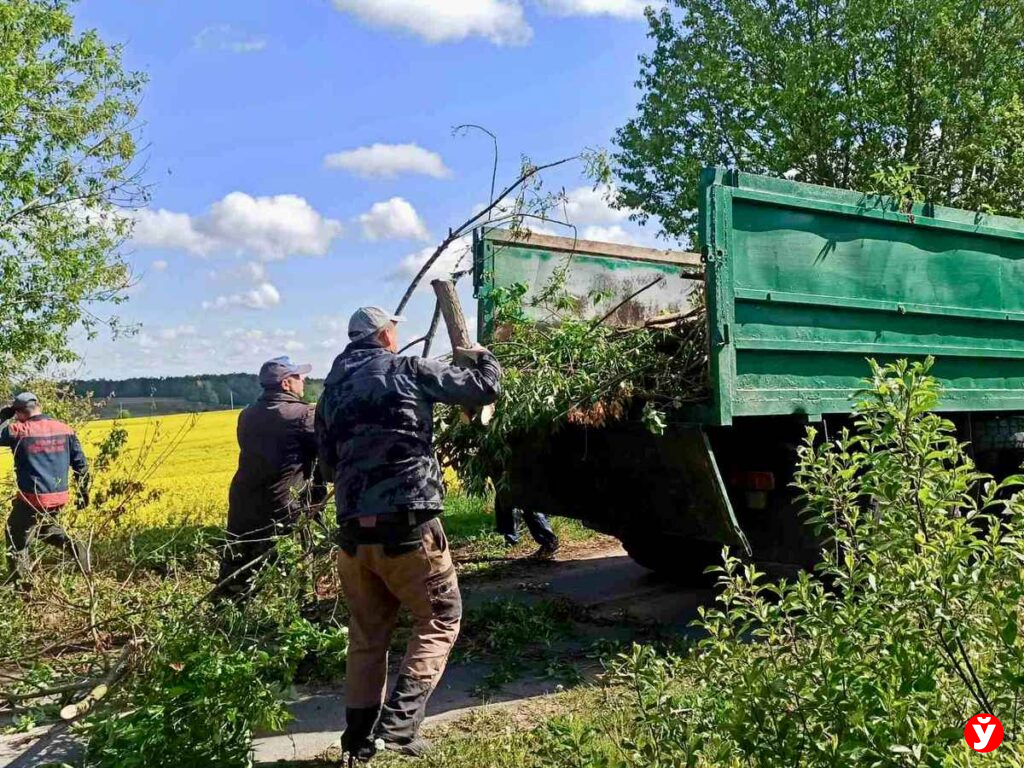 субботник Копыль