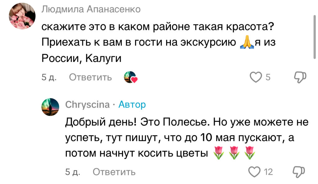 комментарий