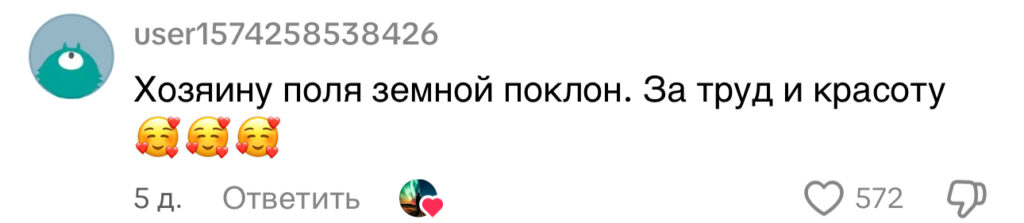 комментарий
