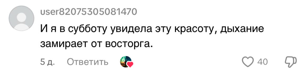 комментарий